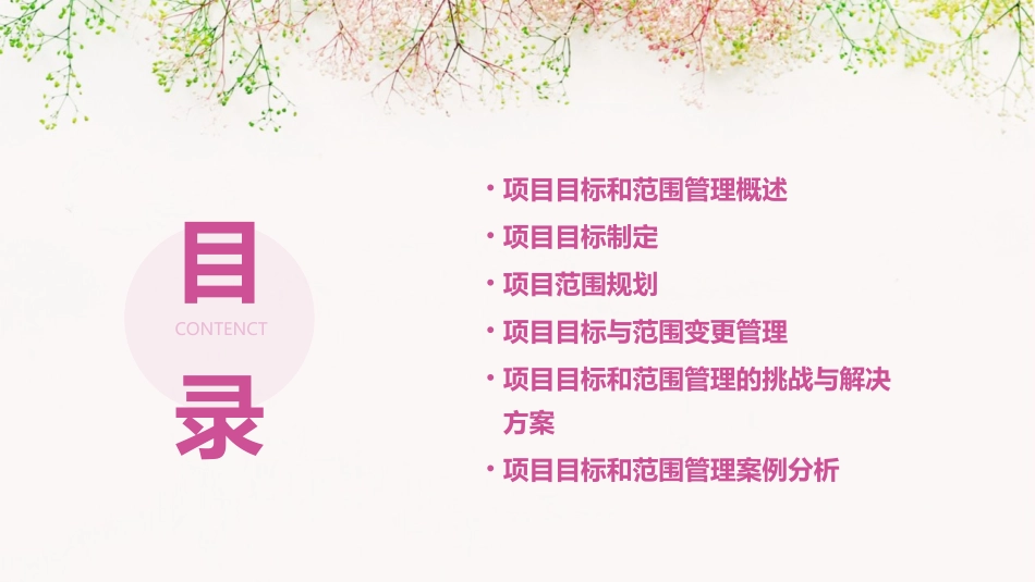 项目目标和范围管理课件_第2页