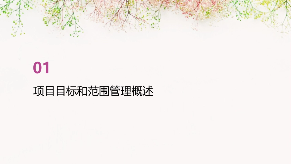 项目目标和范围管理课件_第3页