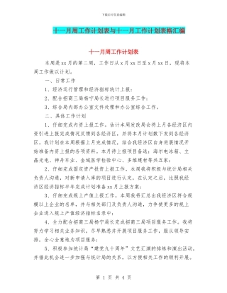 十一月周工作计划表与十一月工作计划表格汇编