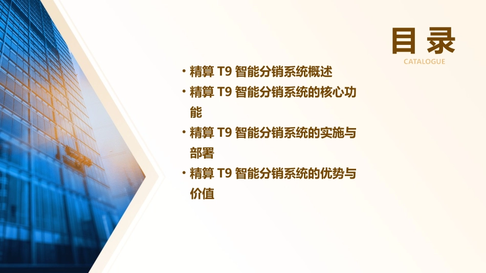 精算T9智能分销课件_第2页