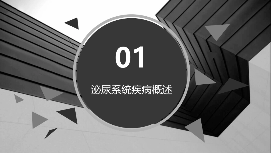 泌尿系统疾病护理与管理课件_第3页