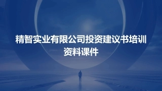 精智实业有限公司投资建议书培训资料课件