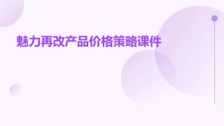 魅力再改产品价格策略课件