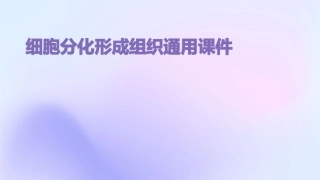 细胞分化形成组织通用课件