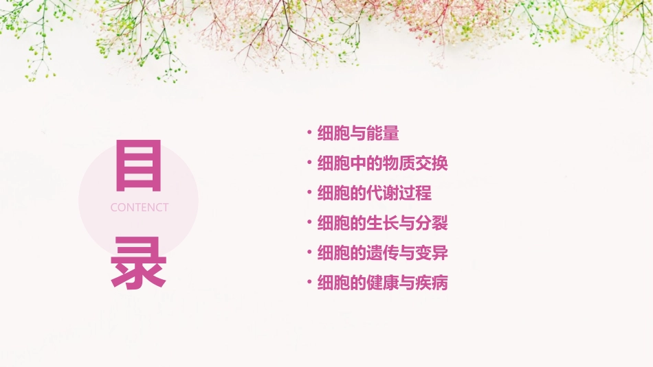 细胞的生活需要物质和能量公开课通用课件精品_第2页