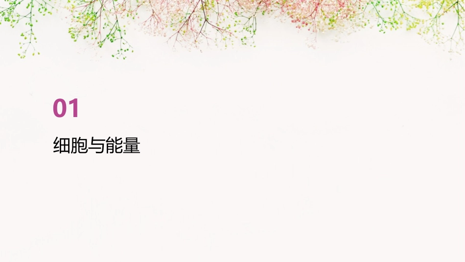 细胞的生活需要物质和能量公开课通用课件精品_第3页