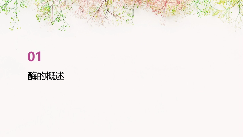 酶的分离提纯分析课件_第3页