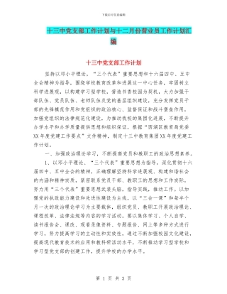 十三中党支部工作计划与十二月份营业员工作计划汇编