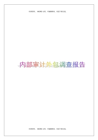内部审计外包调查报告9p