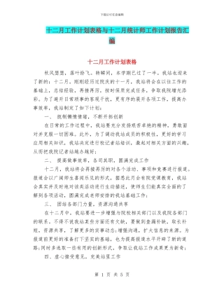 十二月工作计划表格与十二月统计师工作计划报告汇编