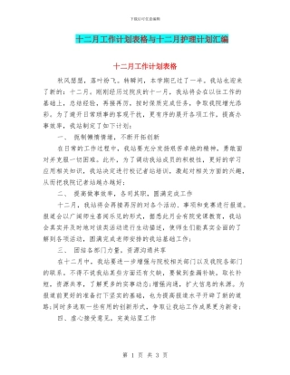 十二月工作计划表格与十二月护理计划汇编