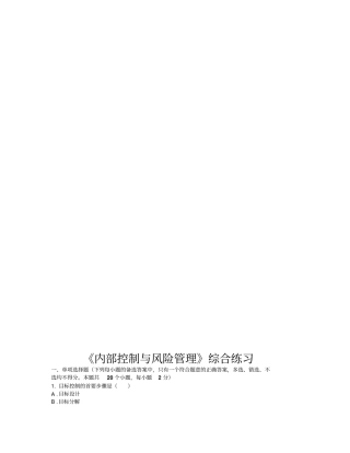 内部控制与风险管理综合练习题12优质版