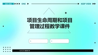 项目生命周期和项目管理过程教学课件