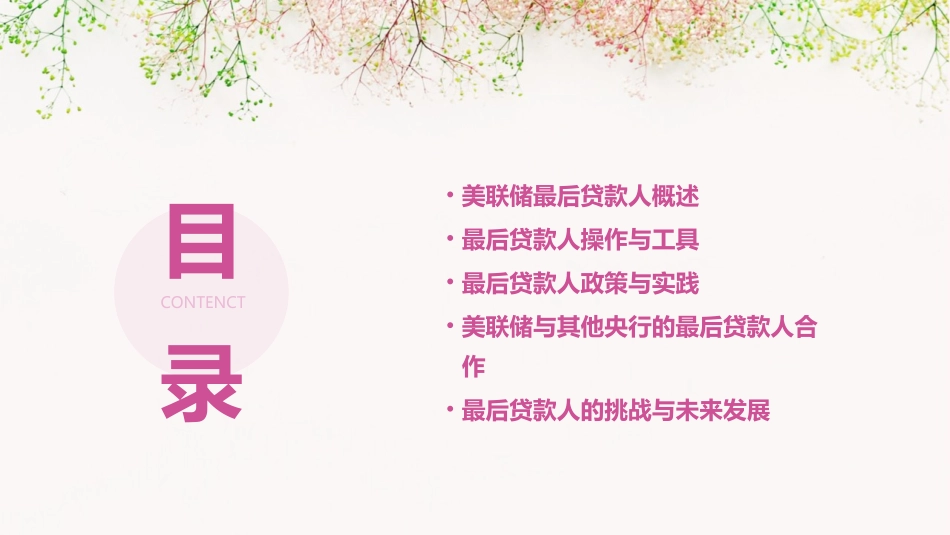 美联储最后贷款人课件_第2页
