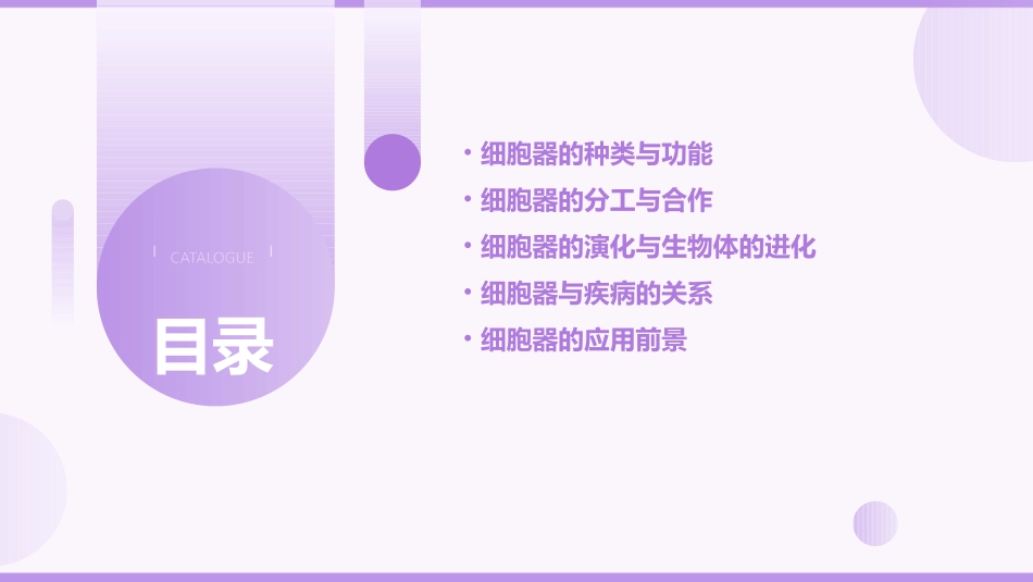 细胞器—系统内的分工与合作Z课件_第2页