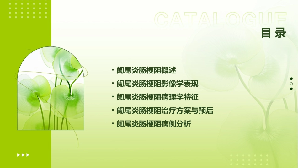 阑尾炎肠梗阻读片课件_第2页