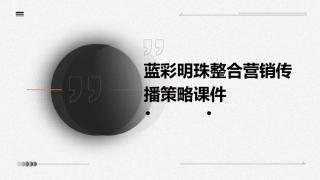 蓝彩明珠整合营销传播策略课件