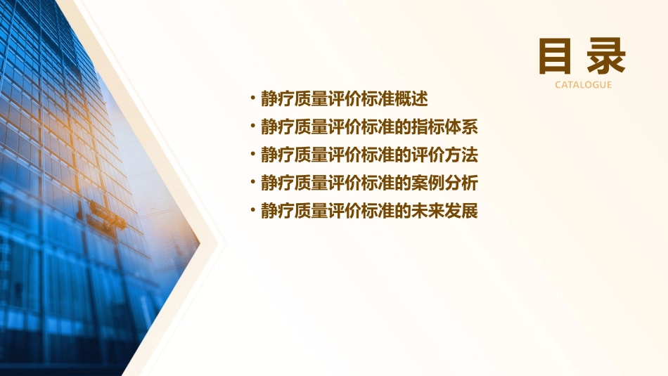 静疗质量评价标准课件_第2页