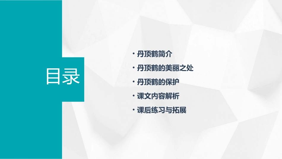 苏教版二年级上册《美丽的丹顶鹤》课件_第2页