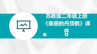 苏教版二年级上册《美丽的丹顶鹤》课件