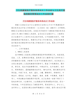 卫生局康复医疗服务体系试点工作总结与卫生局开展临床路径管理试点工作总结汇编
