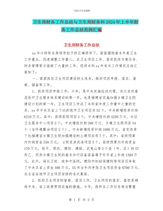 卫生局财务工作总结与卫生局财务科2024年上半年财务工作总结范例汇编