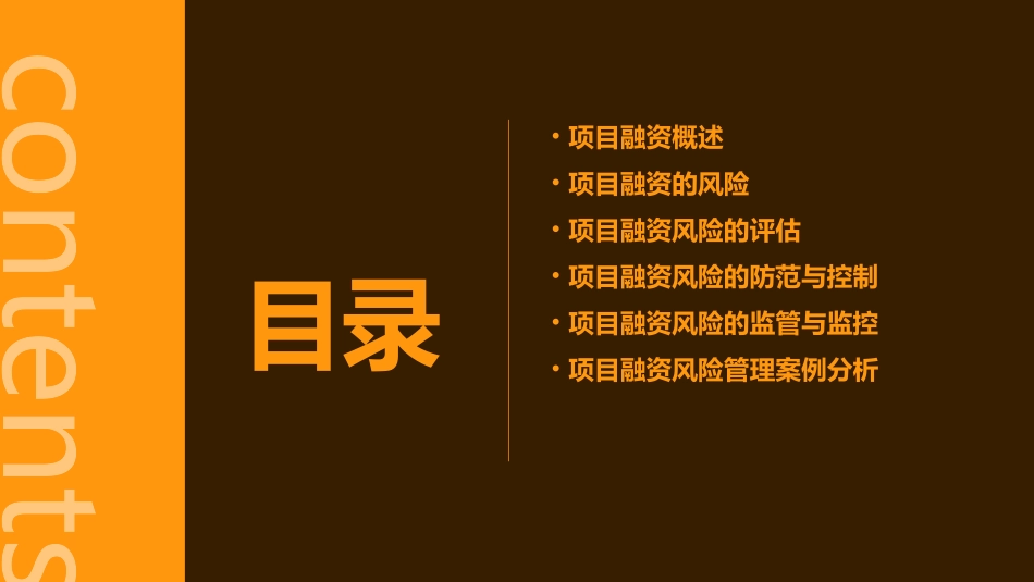 项目融资风险与评价课件_第2页