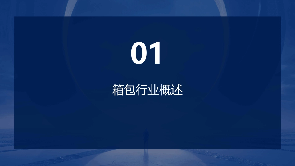 箱包行业分析课件_第3页