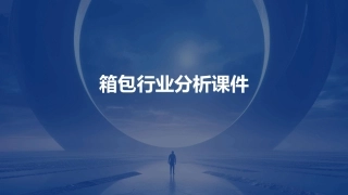 箱包行业分析课件