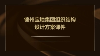 锦州宝地集团组织结构设计方案课件