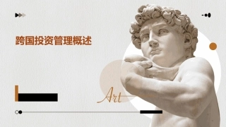跨国投资管理概述课件