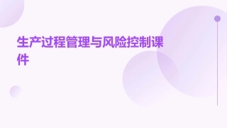 生产过程管理与风险控制课件