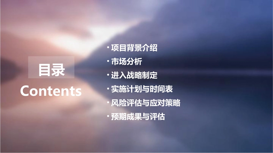 科尔尼给天山水泥做的西北市场进入战略课件_第2页