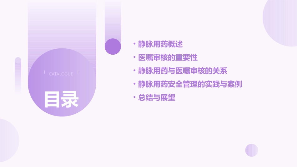 静脉用药与医嘱审核课件_第2页