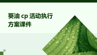 葵油CP活动执行方案课件