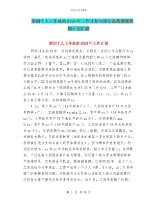 原创个人工作总结2024年工作计划与原创医药领域营销计划汇编