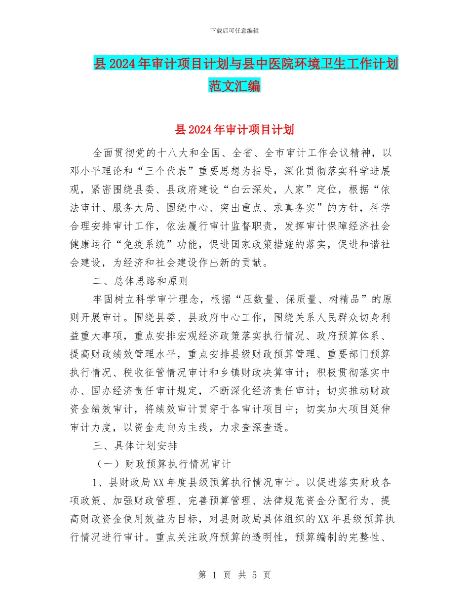 县2024年审计项目计划与县中医院环境卫生工作计划范文汇编_第1页