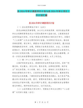 县2024年审计调查项目计划与县2024年审计项目工作计划汇编