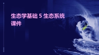 生态学基础5生态系统课件