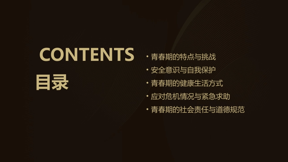 青春与安全同行课件_第2页