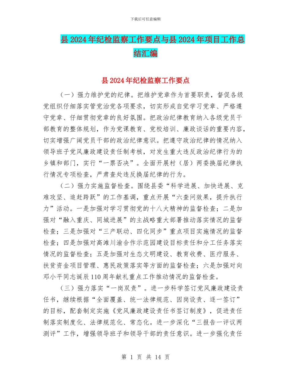 县2024年纪检监察工作要点与县2024年项目工作总结汇编_第1页
