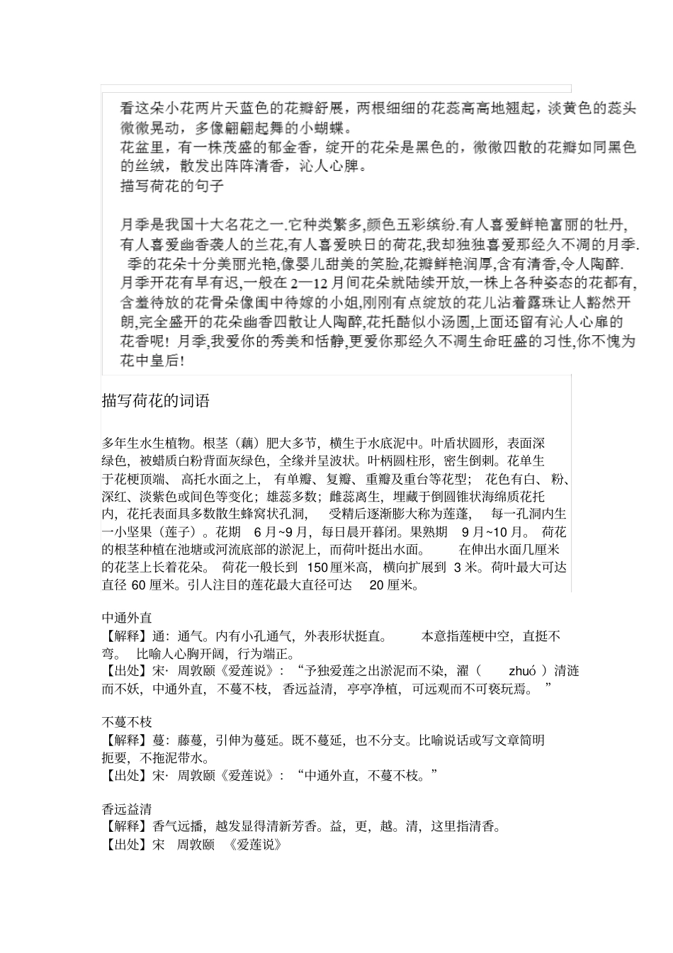 写花的词句段汇总_第2页