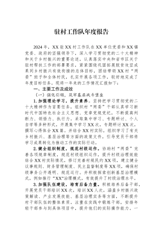 2024年驻村工作队年度报告