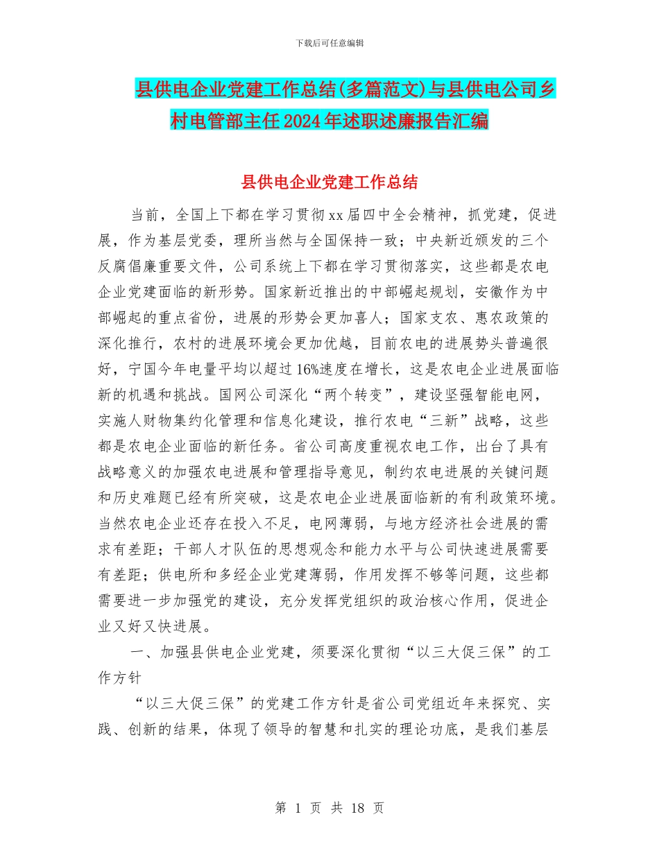 县供电企业党建工作总结与县供电公司乡村电管部主任2024年述职述廉报告汇编_第1页