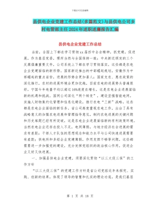 县供电企业党建工作总结与县供电公司乡村电管部主任2024年述职述廉报告汇编