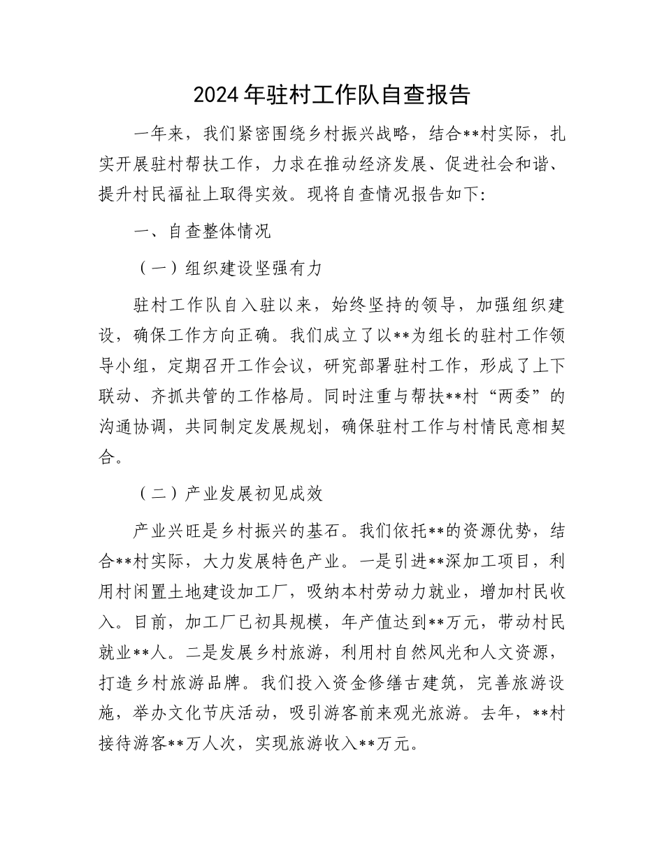 2024年驻村工作队自查报告_第1页