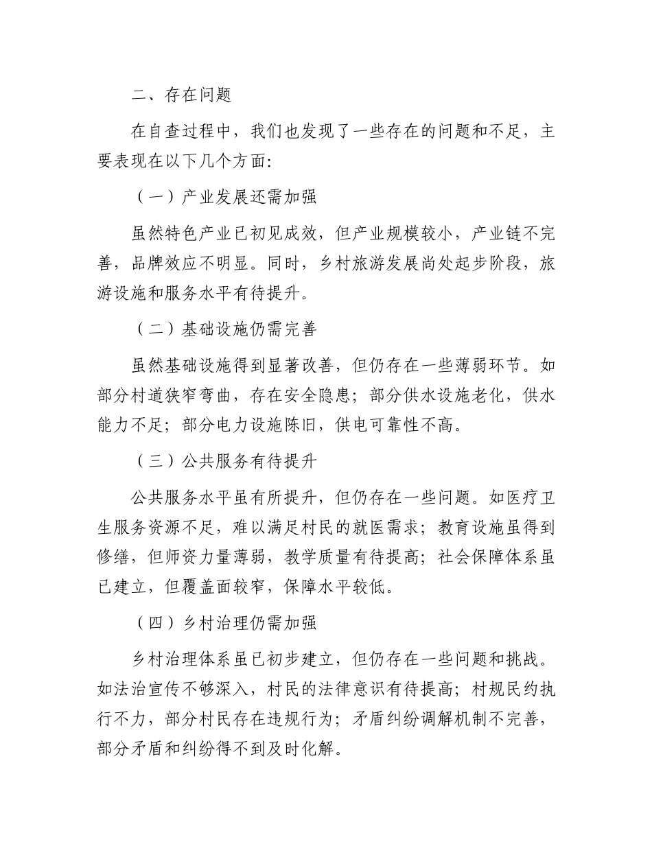 2024年驻村工作队自查报告_第3页