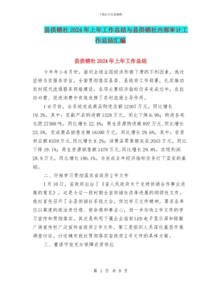 县供销社2024年上年工作总结与县供销社内部审计工作总结汇编