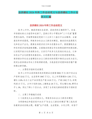 县供销社2024年终工作总结范文与县供销社工作计划范文汇编