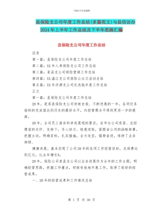 县保险支公司年度工作总结与县信访办2024年上半年工作总结及下半年思路汇编
